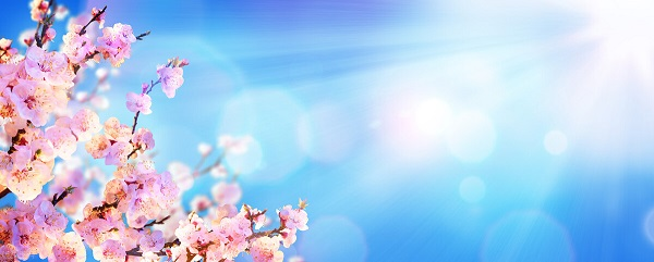 戰疫情,北京韋林公司全體員工齊心協力共克時艱!